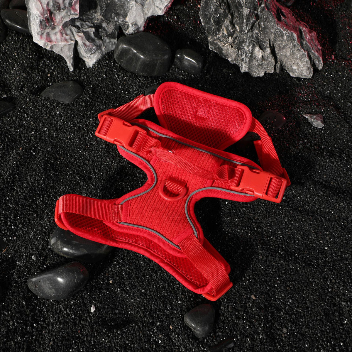 Red dog chest strap harness with adjustable straps and reflective stripe, top view on black stones