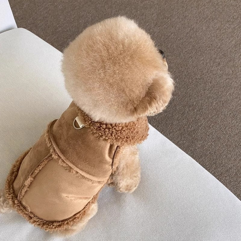 Small fluffy dog wearing a tan faux suede dog vest, top-down view